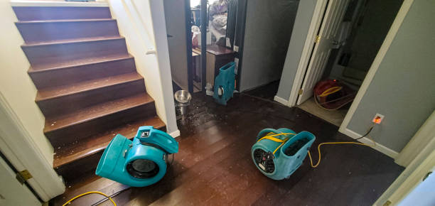  Sconsin Rapids, WI Water damage restoration Pros