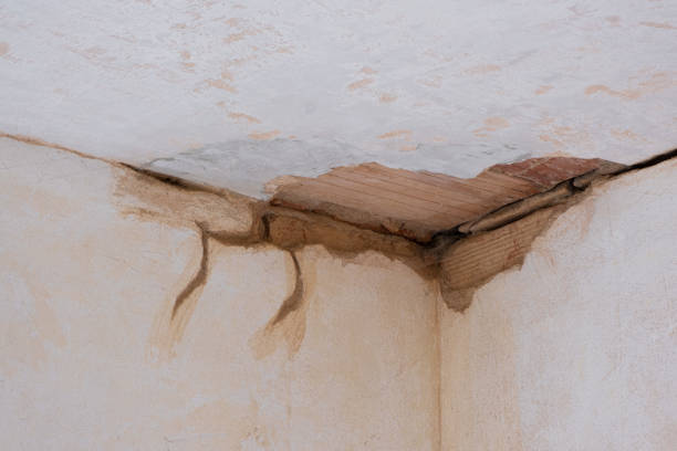 Best Water damage restoration near me  in Sconsin Rapids, WI