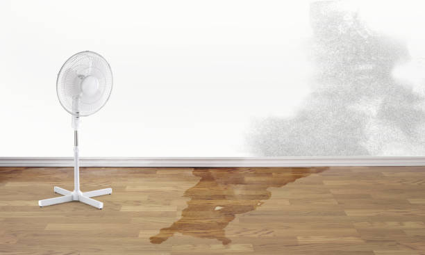 Best 24/7 water damage repair  in Sconsin Rapids, WI