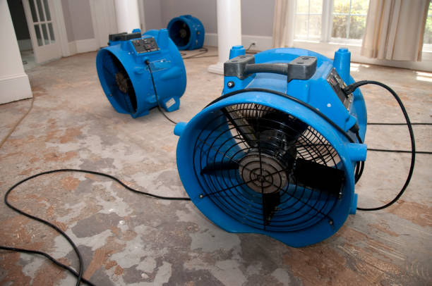 Best Water damage restoration near me  in Sconsin Rapids, WI