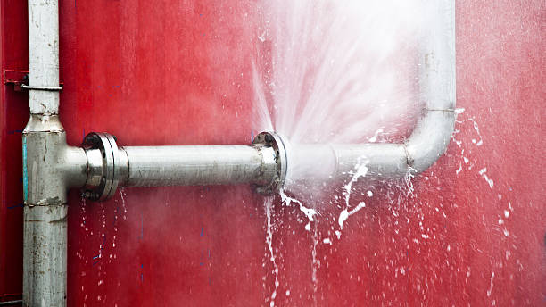 Best Flooded house restoration  in Sconsin Rapids, WI